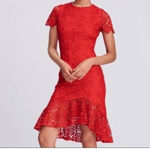 NWT Eliza J - Red Daisy Lace flare Hem fitted Dress